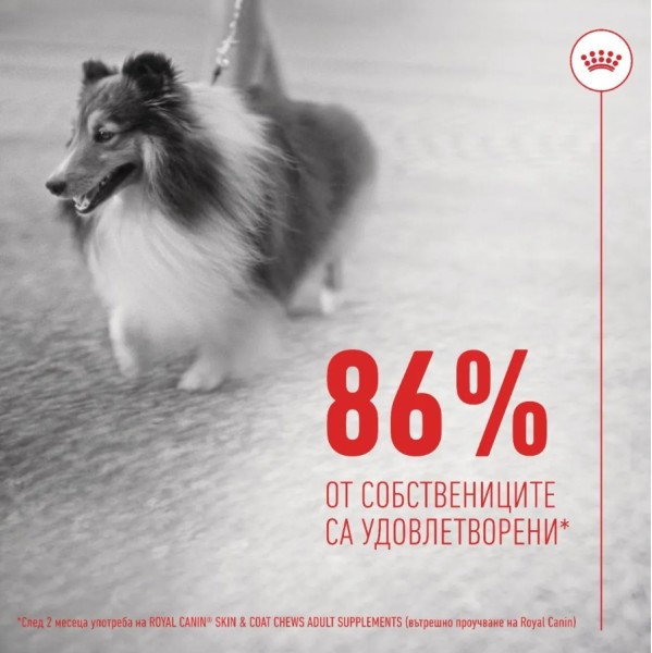Royal Canin Adult Dog Skin n Coat Supplement - Хранителна добавка за кучета за кожа и козина - 240 гр